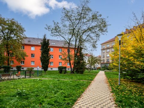Pronájem bytu 1+1, ul. Lexova, Pardubice