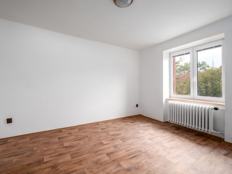 Pronájem bytu 1+1, ul. Lexova, Pardubice