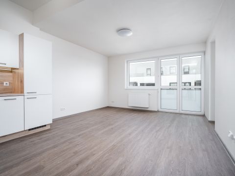 pronájem bytu 3+kk Dašice