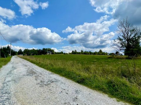 Prodej pozemku 3 067 m² - Orlické Záhoří, Lasówka