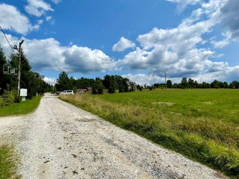Prodej pozemku 3 067 m² - Orlické Záhoří, Lasówka