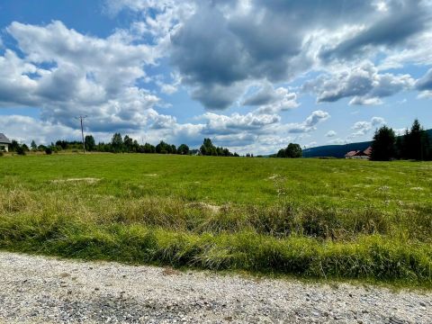 Prodej pozemku 3 067 m² - Orlické Záhoří, Lasówka