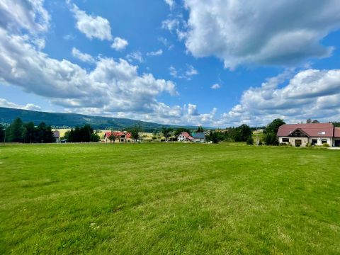 Prodej pozemku 3 067 m² - Orlické Záhoří, Lasówka