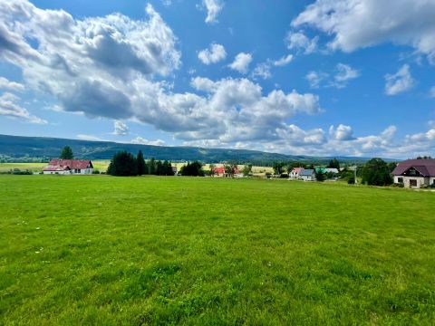 Prodej pozemku 3 067 m² - Orlické Záhoří, Lasówka